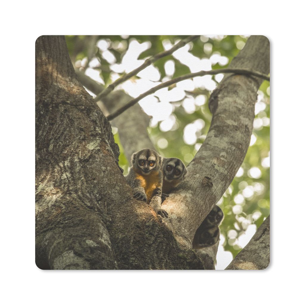 MuchoWow Mauspad Mousepad Kleine Tiere in einem Baum 30x30 cm - Mousepads - Maus Mat - Pad - Mausunterlage - Gaming