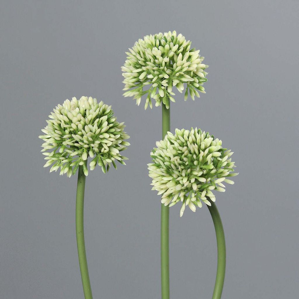 Kunstblume Allium 34 cm cream Bund (3 Stück)