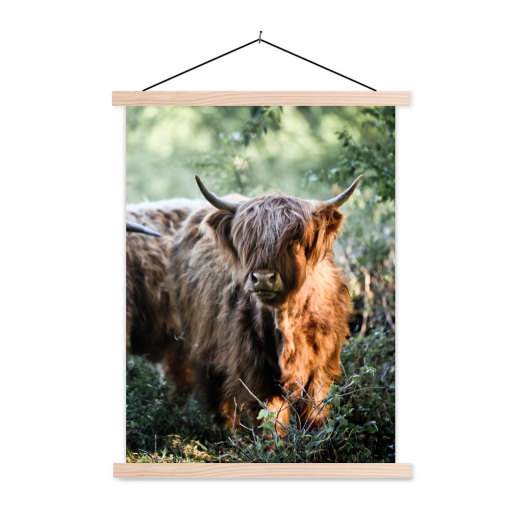 MuchoWow Textilposter Schottische Highlander - Wald - Tiere 120x160 cm mit holzfarbenen Rahmen - Plakatkarton