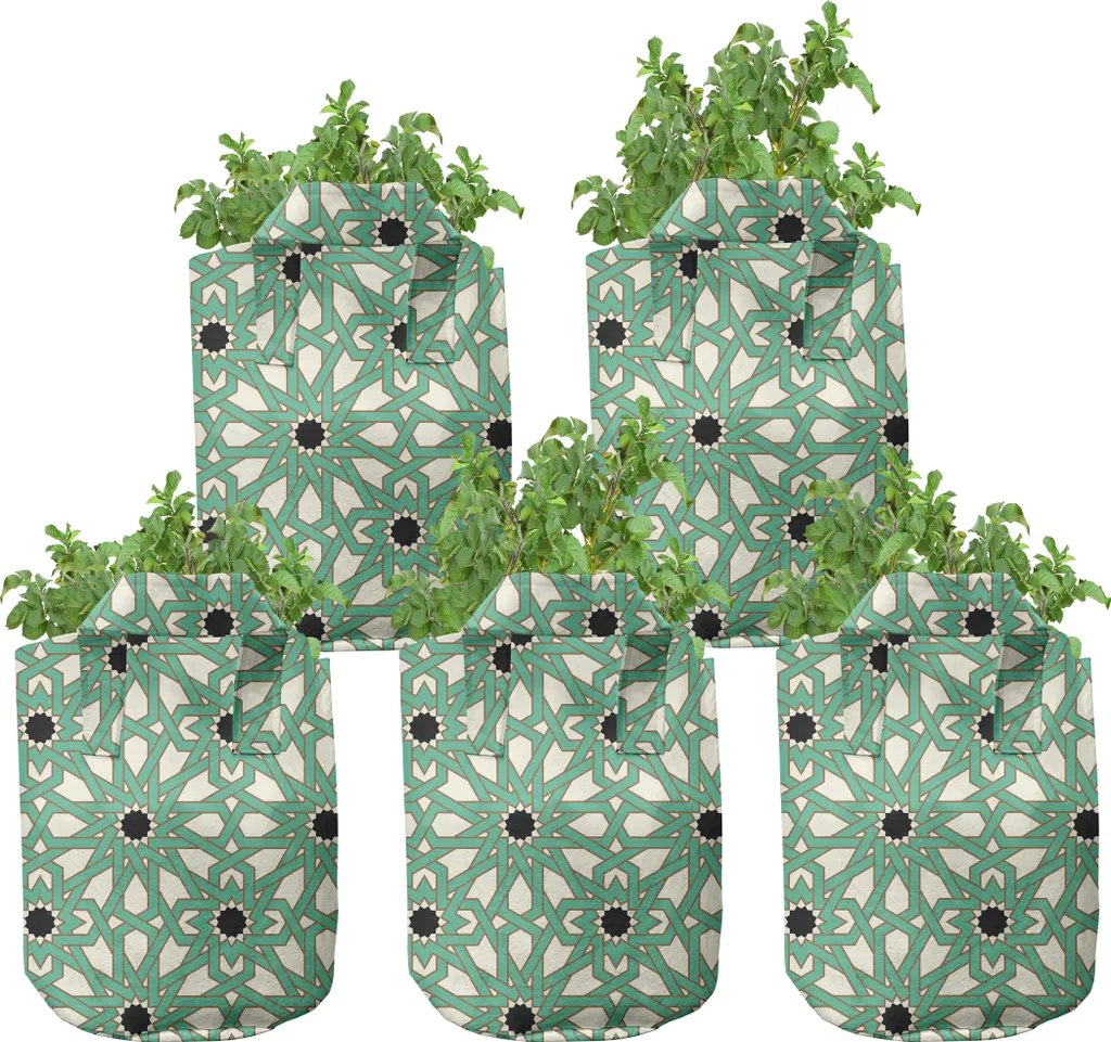 ABAKUHAUS Pots de Culture Marocains 7 Gallons North Stars Lot de 5