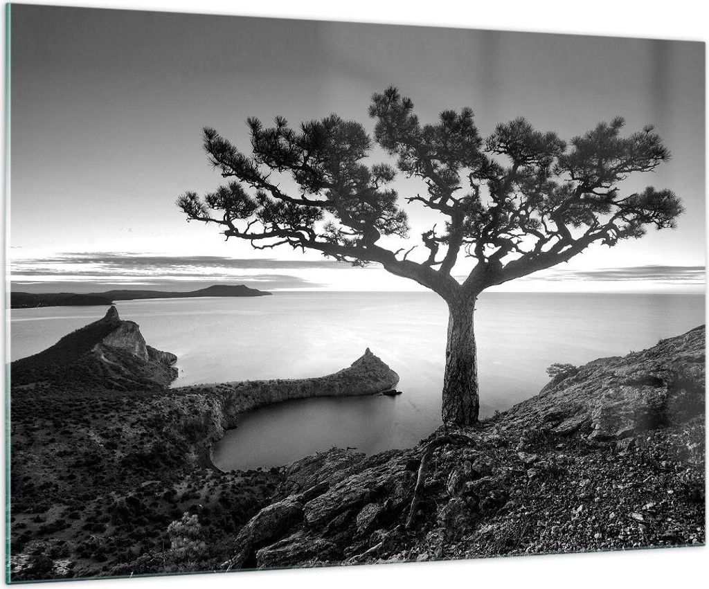 Bilder auf glas - Einteilig - Baum Schwarzweiß Ansicht - 100x70cm - Glasbilder - Wandbilder - Bilder - zum Aufhängen bereit - Wanddekoration aus ...