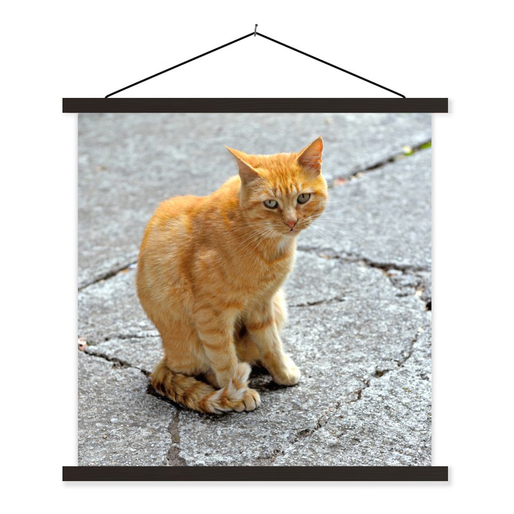 MuchoWow Textilposter Katze - Rot - Straße - Mädchen - Kinder - Jungen - Kind 40x40 cm mit schwarzem Rahmen - Fotos
