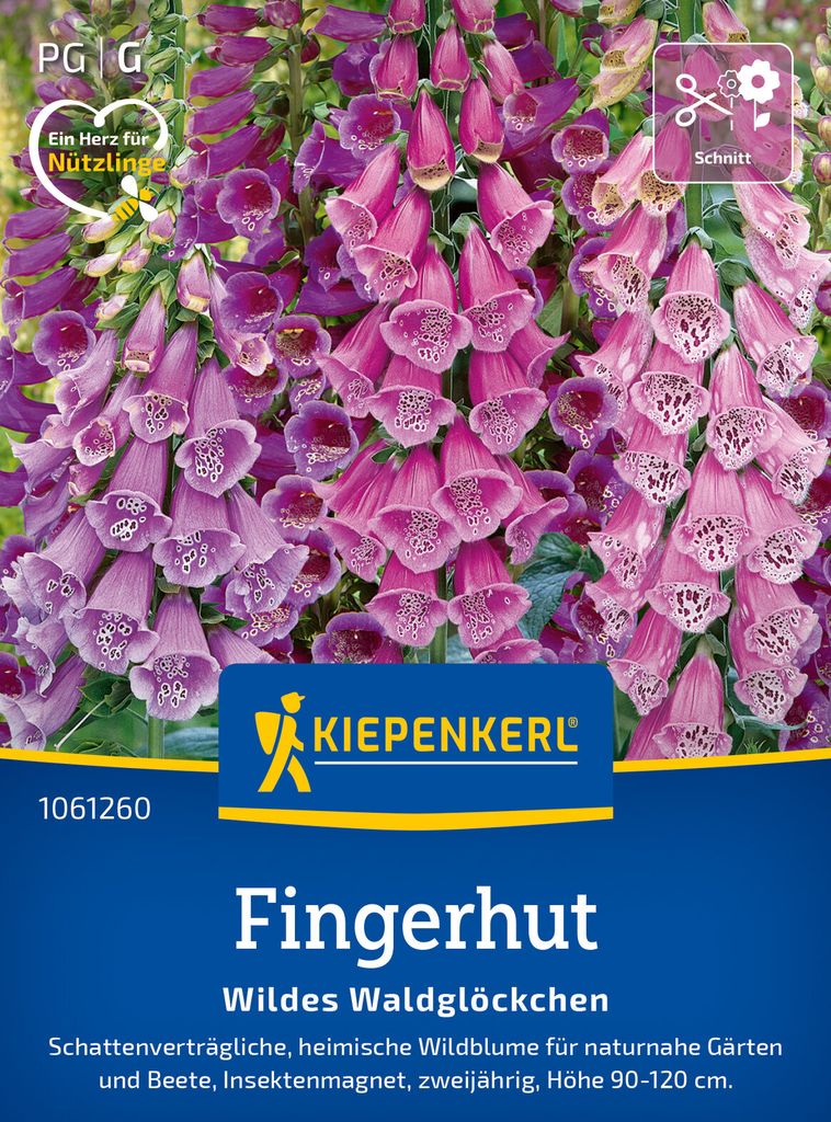 Kiepenkerl Fingerhutsamen Wildes Waldglöckchen Digitalis purpurea 600 Pflanzen