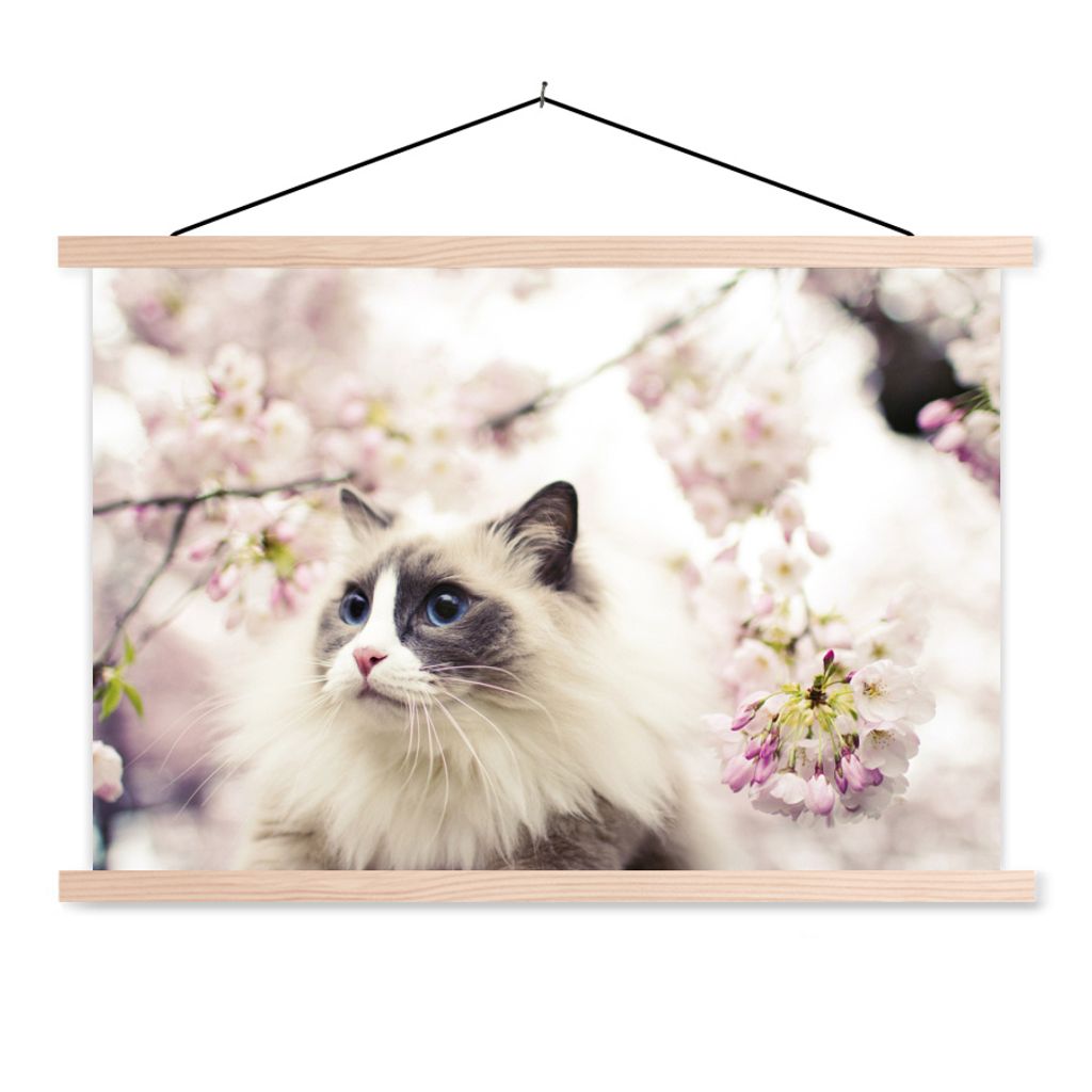 MuchoWow Textilposter Eine Ragdoll-Katze zwischen rosa Blumen 60x40 cm mit holzfarbenen Rahmen - Bilder