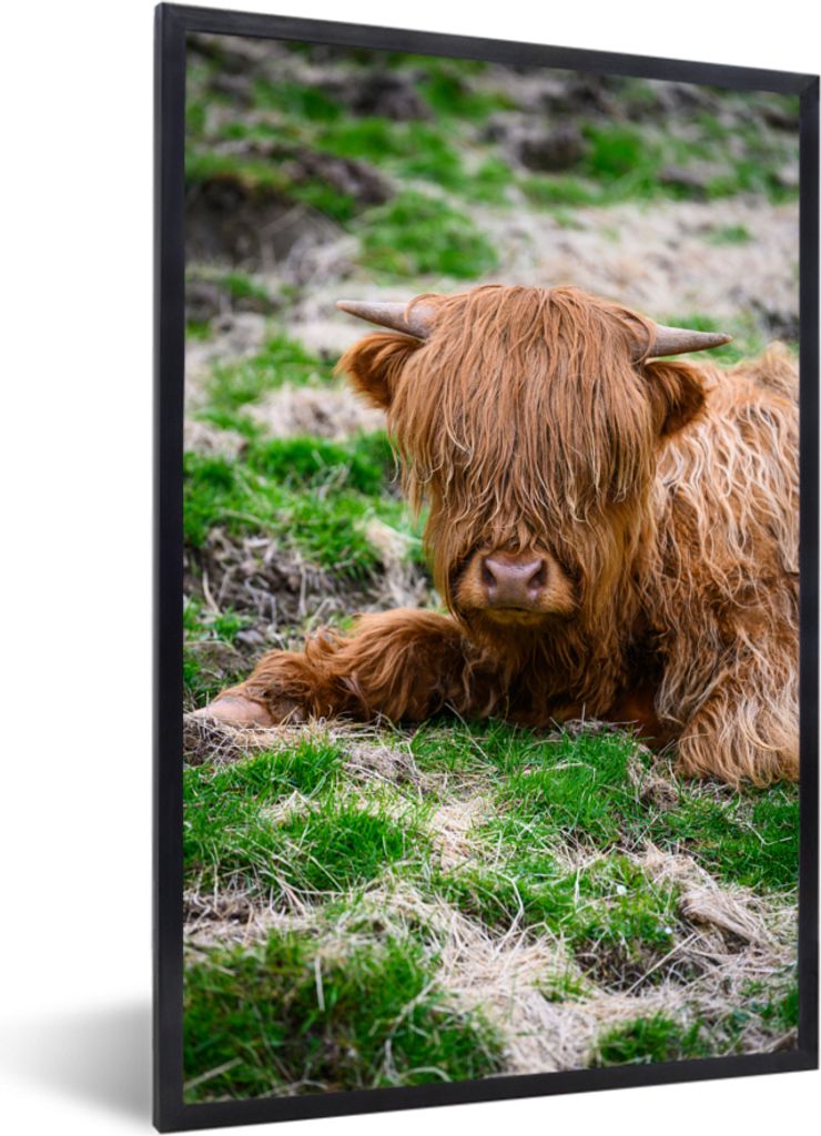 MuchoWow MuchoWow Gerahmtes Poster Schottisches Hochlandrind - Heu - Gras 20x30 cm - Poster mit zchwarzem Bilderrahmen - Drucken - Bilder Poste...