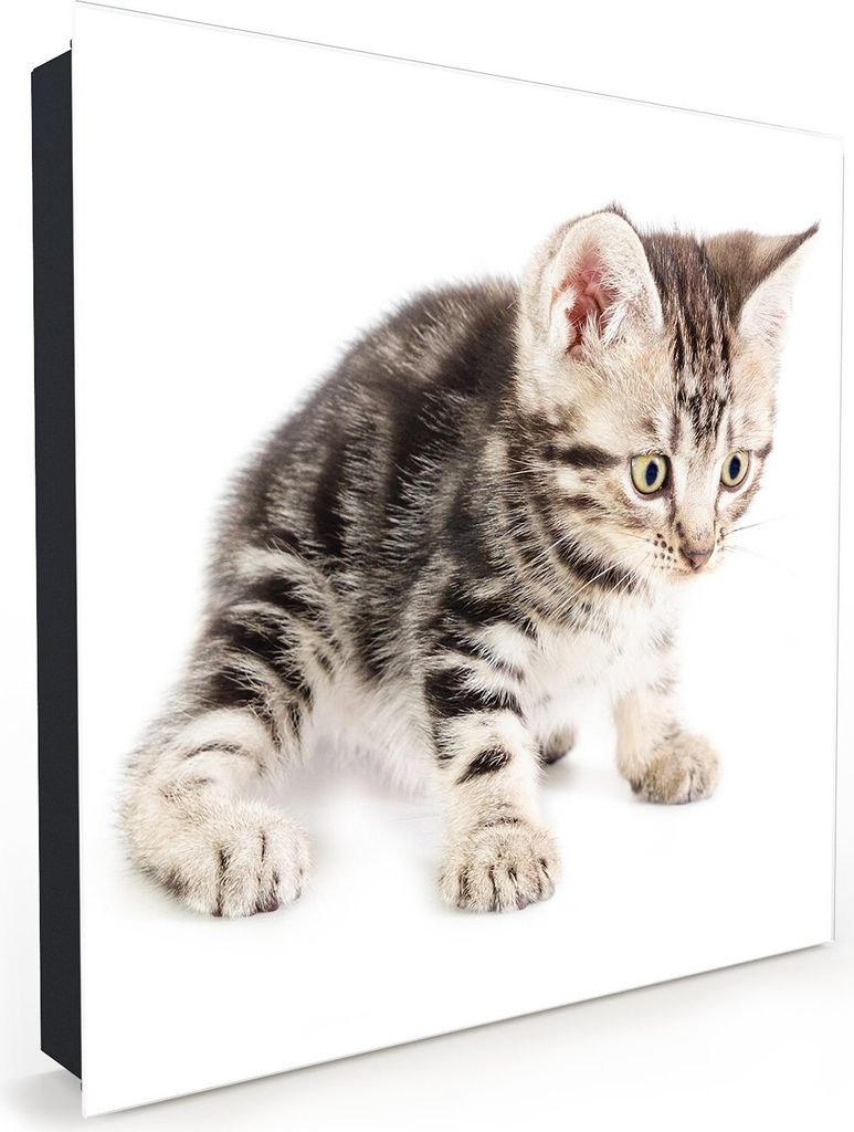 Nachbildung-Schlüsselkasten, Magnetpinnwand und Memoboard mit Glasfront Motiv Katze fokussiert den Boden