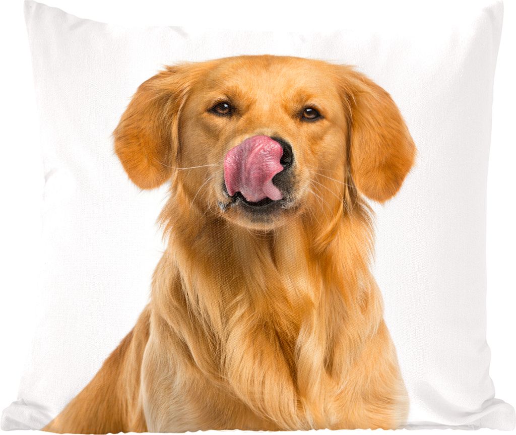 MuchoWow Golden Retriever - Ein Lecken Golden Retriever auf einem weißen Hintergrund - 40x40 cm - Sofakissenbezüge - ohne füllung
