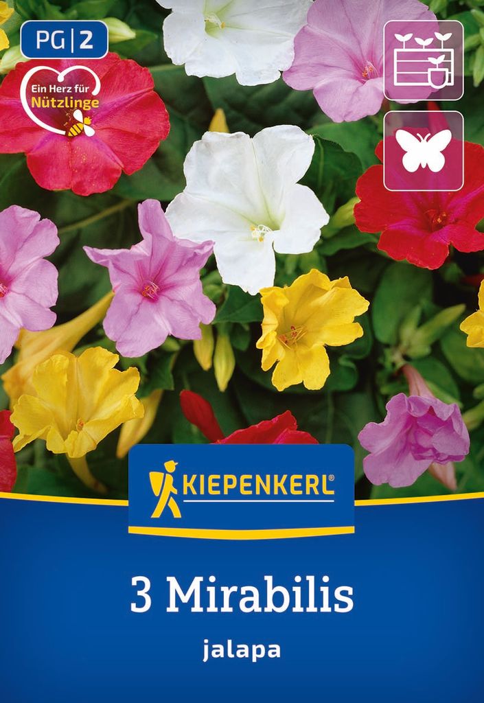 Kiepenkerl Wunderblume Jalapa Mix 3 Pflanzen Produktbild 