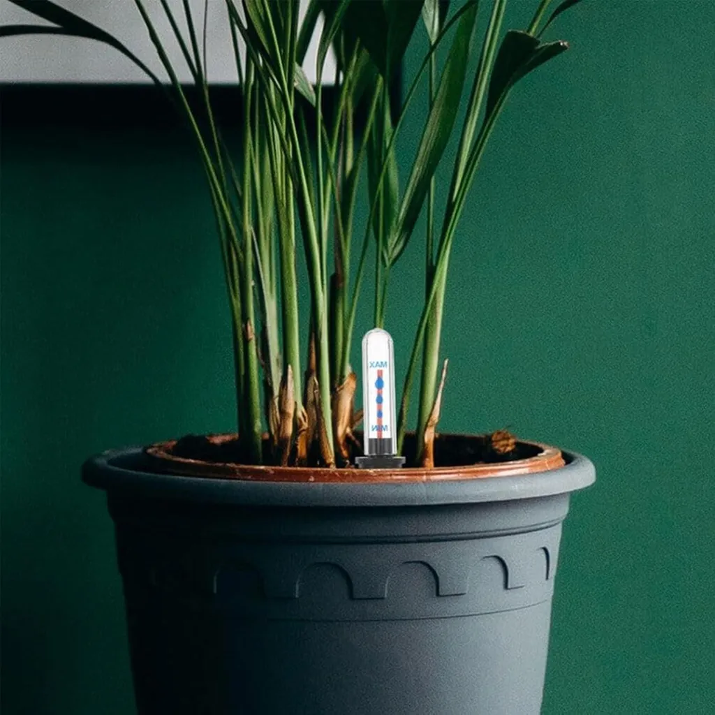 Set de 3 indicateurs de niveau d'eau 36cm pour plantes d'intérieur