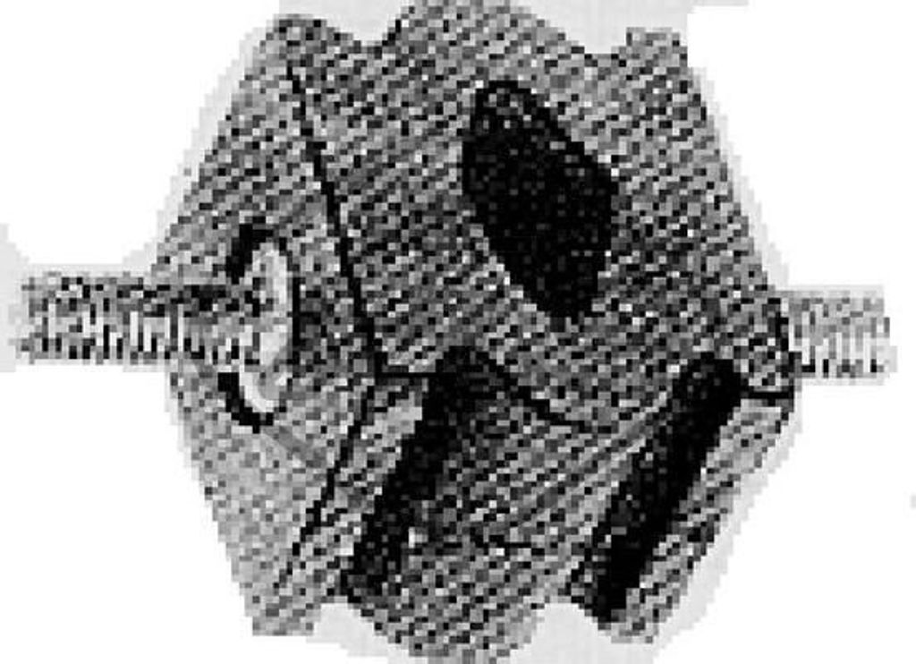 Metalcaucho Auspuffhalter für RENAULT MASTER II Kasten (FD) Auspuffanlage Montageteil 00205