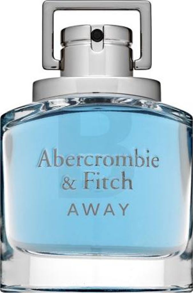 Abercrombie & Fitch Away Man toaletní voda pro muže 100 ml Obrázek produktu 