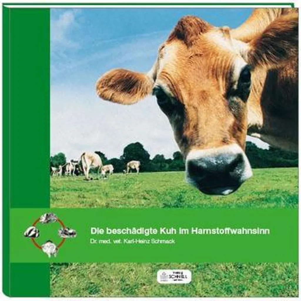 Objet de décoration Vache Endommagée - Idée cadeau originale et unique