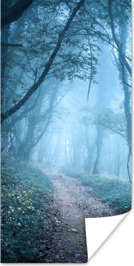 MuchoWow Poster Bäume - Natur - Nebel 60x120 cm - Wandschmuck