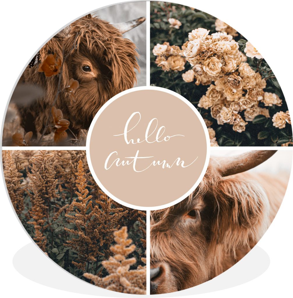 MuchoWow Rundes Wandbild - Runde Bilder Schottischer Highlander - Herbst - Collage Ø 60 cm Kreis Wanddekoration Kunststoff - Wandkreis - Wandsch...