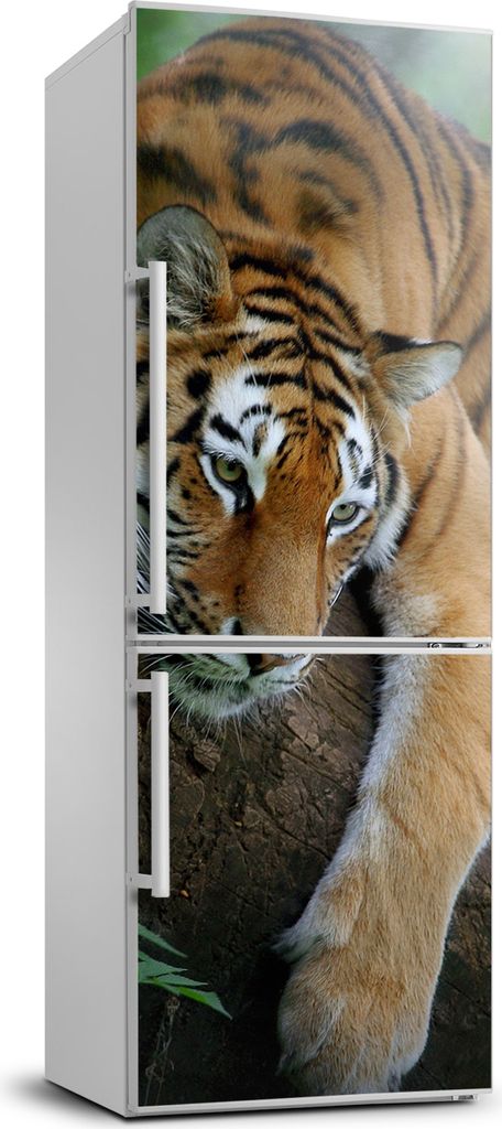 Tulup Kühlschrankdekoration - 70x190 cm - Aufkleber auf dem Kühlschrank - Tiger auf einem Baum