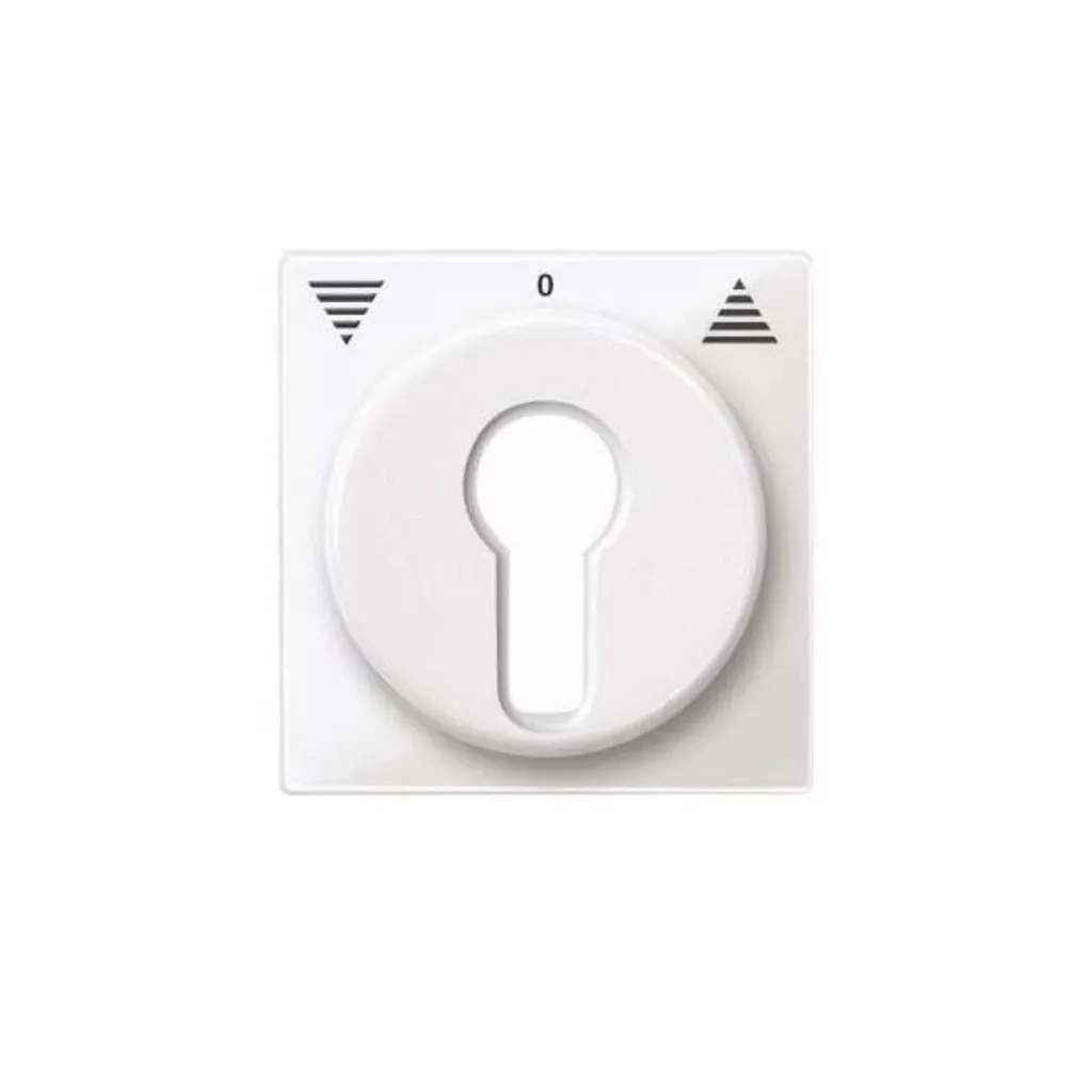 Merten 319419 Cache de Finition Blanc Polaire pour Appareillage Electrique