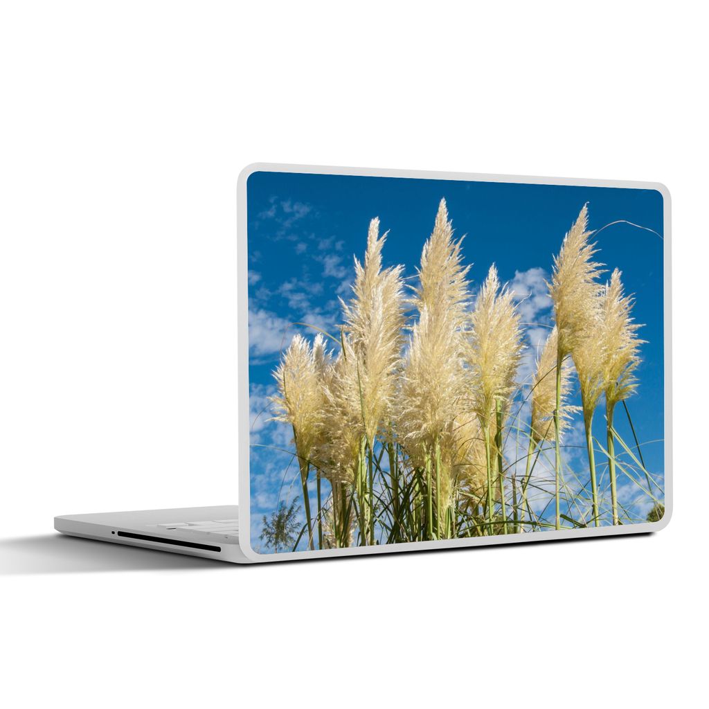 MuchoWow Laptop Aufkleber Sticker Cover Pampasgras - Pflanze - Natur 36.5x27.5 cm - Laptop-Sticker