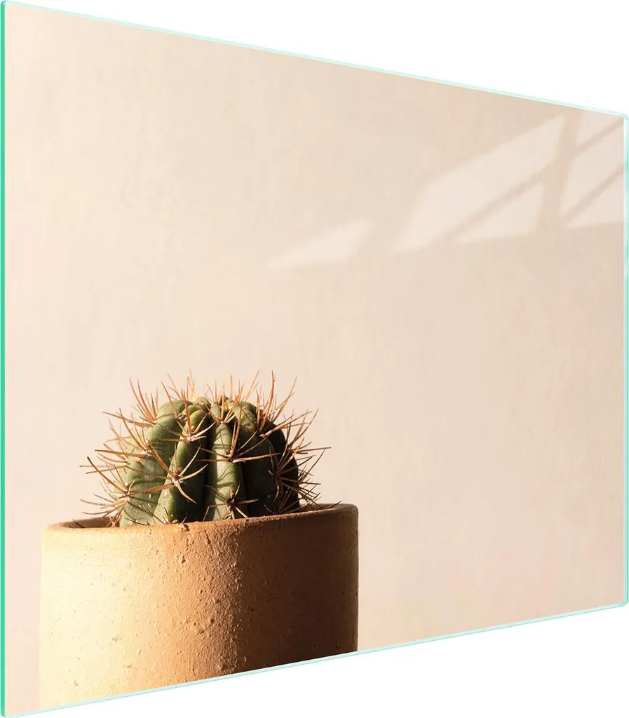 Salvapiano in Vetro Temperato 52x40 Cactus - Qualità Professionale