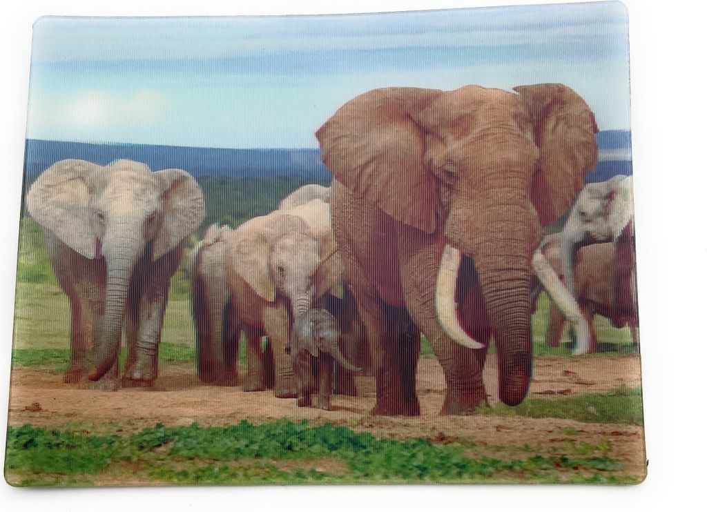 Onwomania Elefanten Familie Dickhäuter 9x7cm 3D Magnet Karte Kühlschrankmagnet Magnetbild Heftmagnet Grau