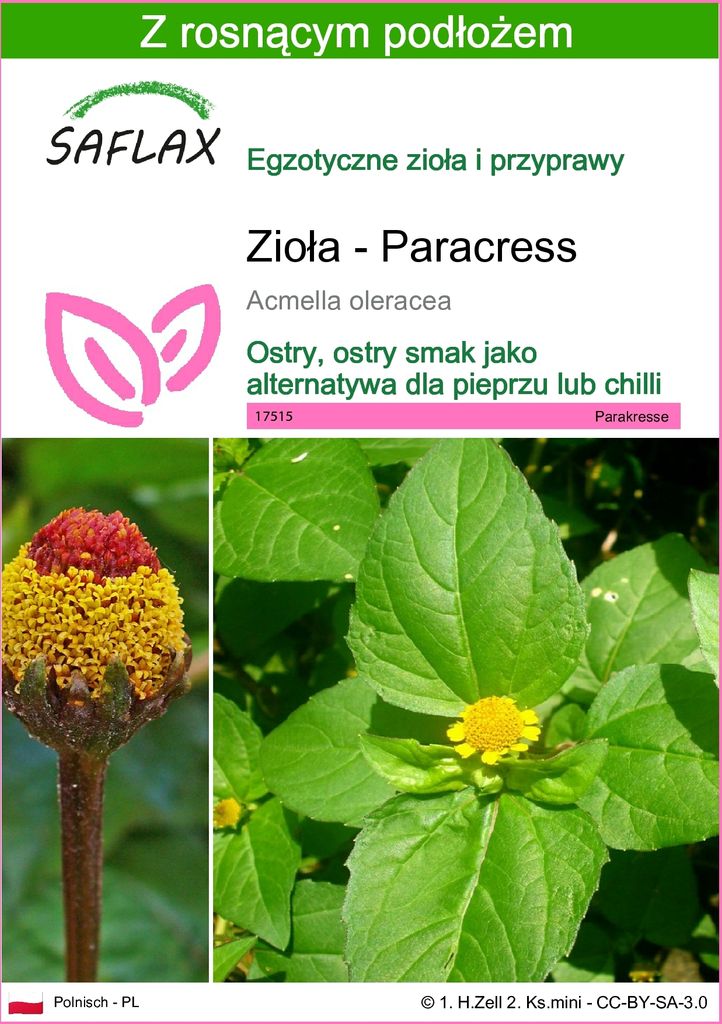 SAFLAX - Zioła - Paracress - 500 Nasiona - Z podłożem Zdjęcie produktu 