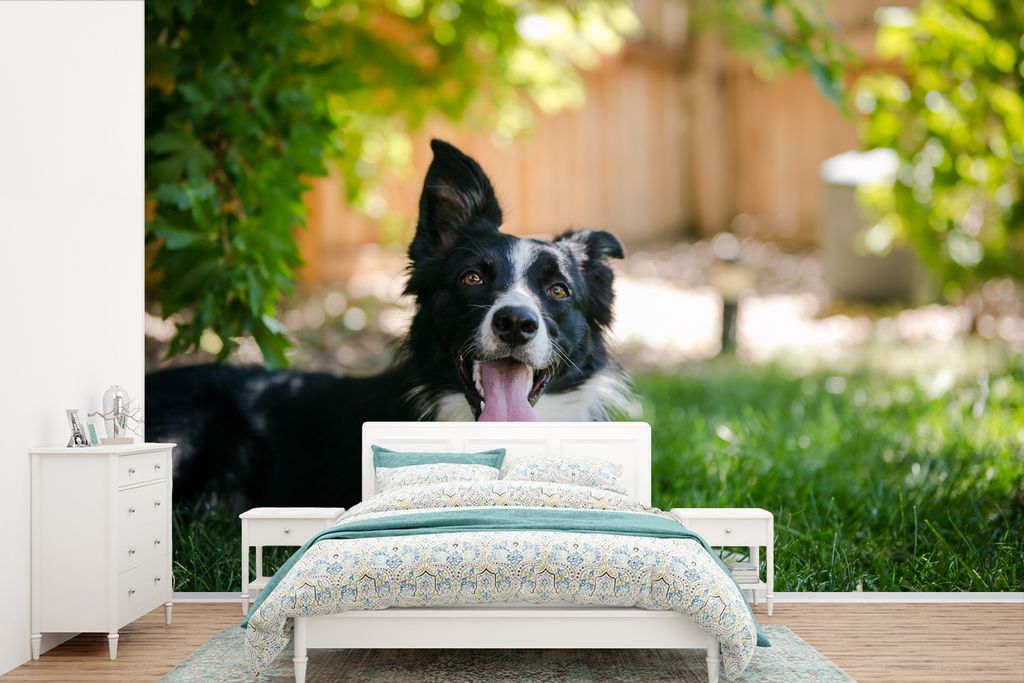 MuchoWow Fototapete für Wohnzimmer oder Schlafzimmer Wandtapete Vinyl Motivtapete Hund - Gras - Tiere - 450x300 cm - Gemusterte