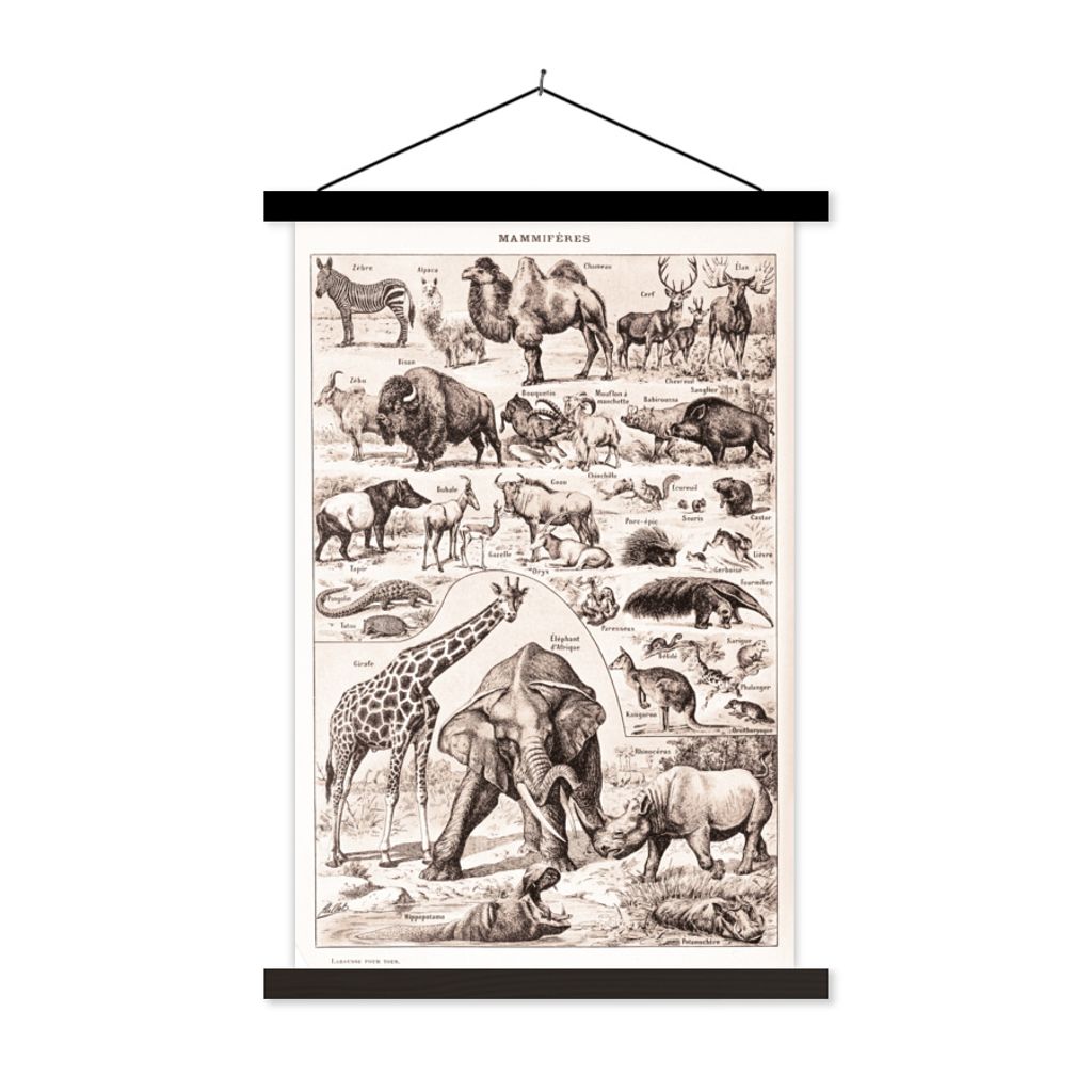 MuchoWow Textilposter Tiere - Elefant - Schwarz - Weiß 40x60 cm mit schwarzem Rahmen - Wanddekorationen