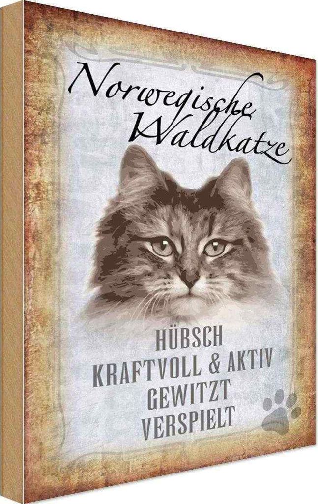 vianmo Holzschild 18x12 cm norvegische Waldkatze Katze Wanddeco Tier Haustier