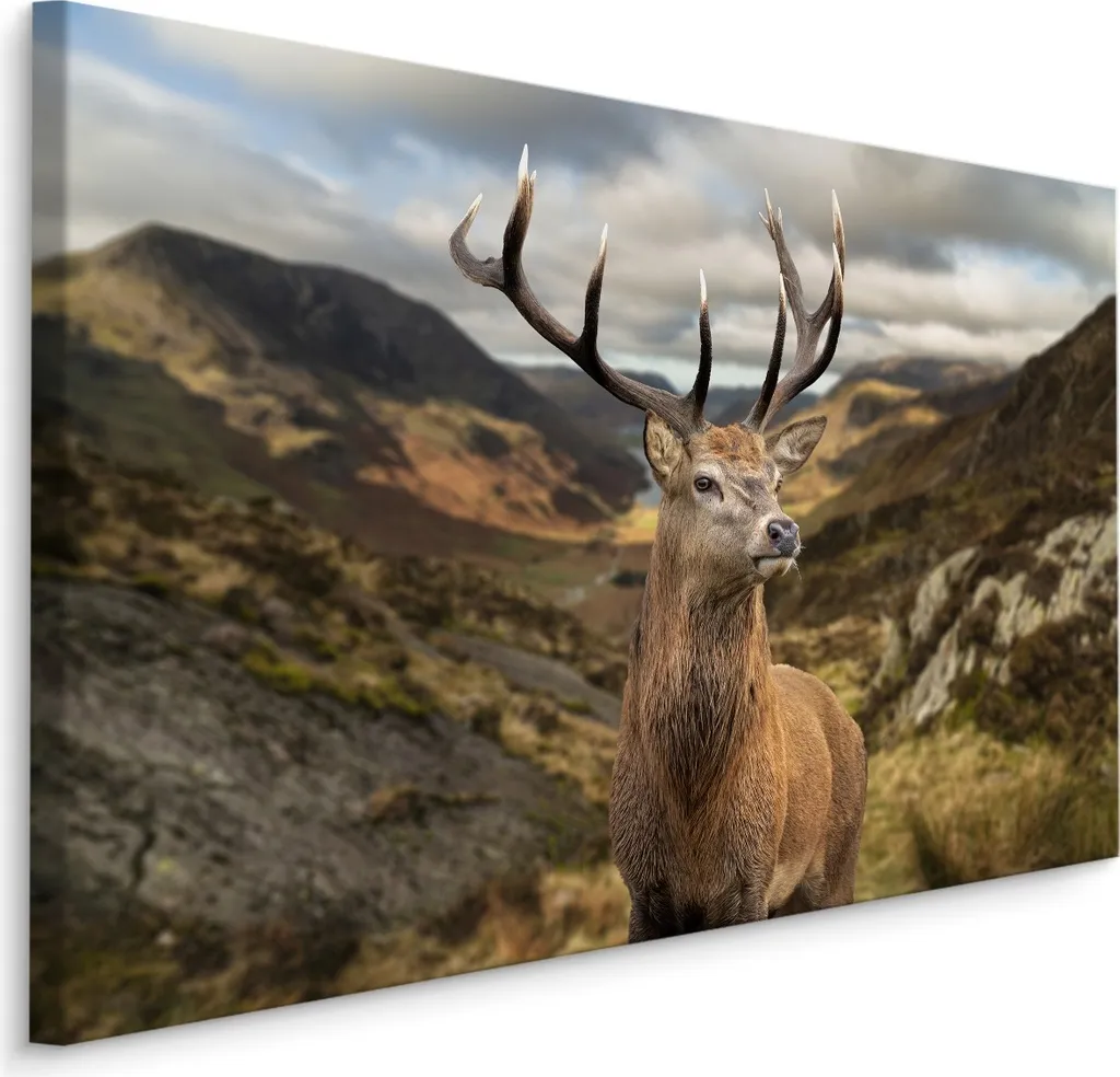 Quadro Paesaggio Montagna con Cervo 120x80 XXL - Atmosfera Alpina