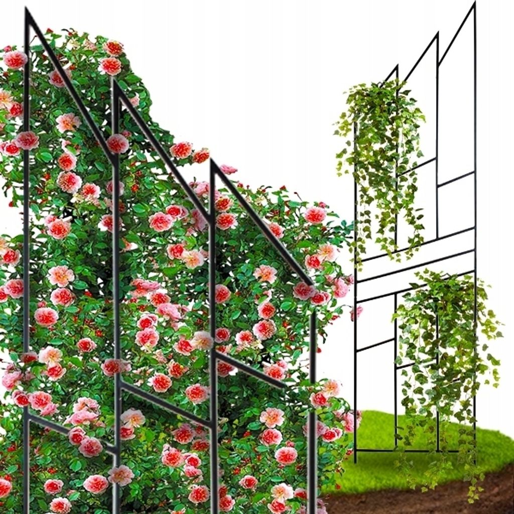 Jardin Terrasse Pergola pour rosiers - Idéal acier noir Image du produit 
