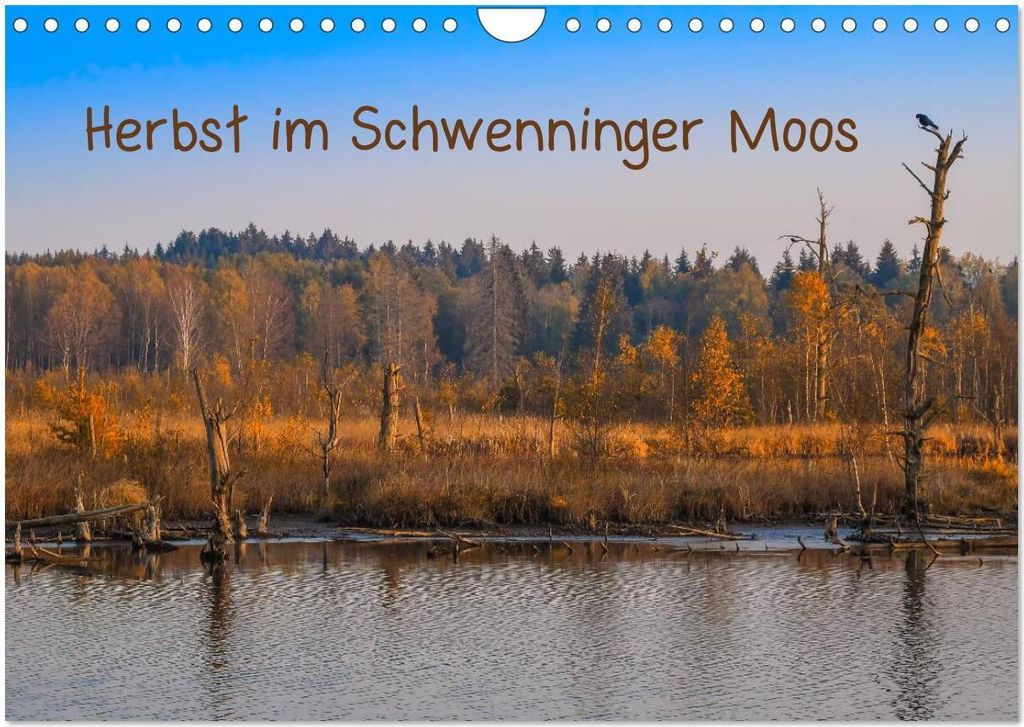 Herbst im Schwenninger Moos (Wandkalender 2026 DIN A4 quer), CALVENDO Monatskalender