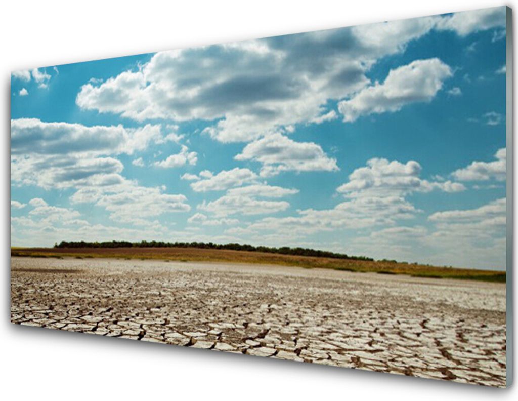 Küchenrückwand aus Glas 100x50cm Spritzschutz Wüste Landschaft