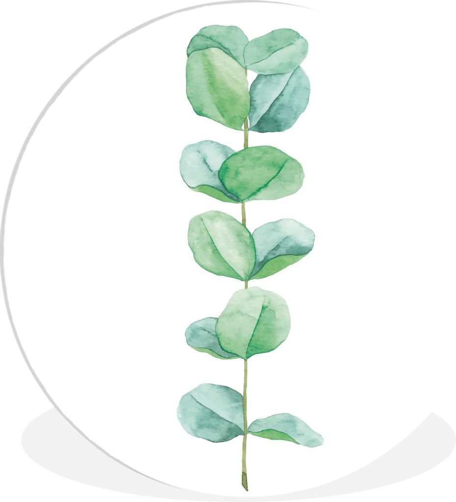 MuchoWow Rundes Wandbild - Runde Bilder Aquarell - Eukalyptus - Pflanze Ø 30 cm Kreis Wanddekoration Kunststoff - Wandkreis - Wandschmuck - Schl...
