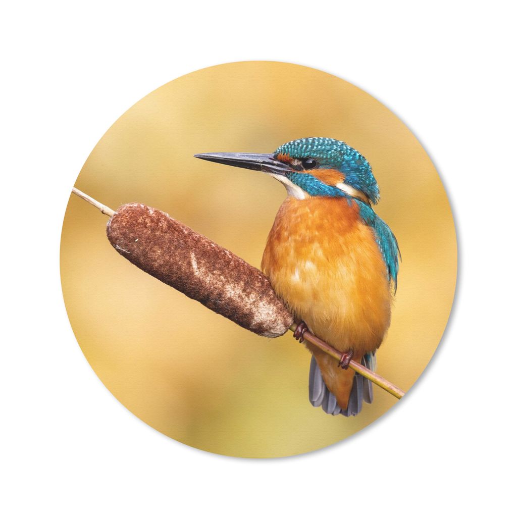 MuchoWow Mauspad Mousepad Eisvogel - Natur - Vogel 30x30 cm - Mousepads - Maus Mat - Pad - Mausunterlage - Tischunterlage - Schreibtischmatten