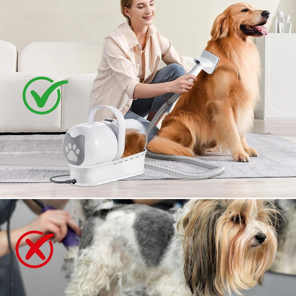 Kit Aspirapolvere For Toelettatura Cani, Tosatrici For Cani, Aspirazione 99% Peli Di Animali Domestici, Tolettatrice Professionale For Cani Con 7 - Foto 4