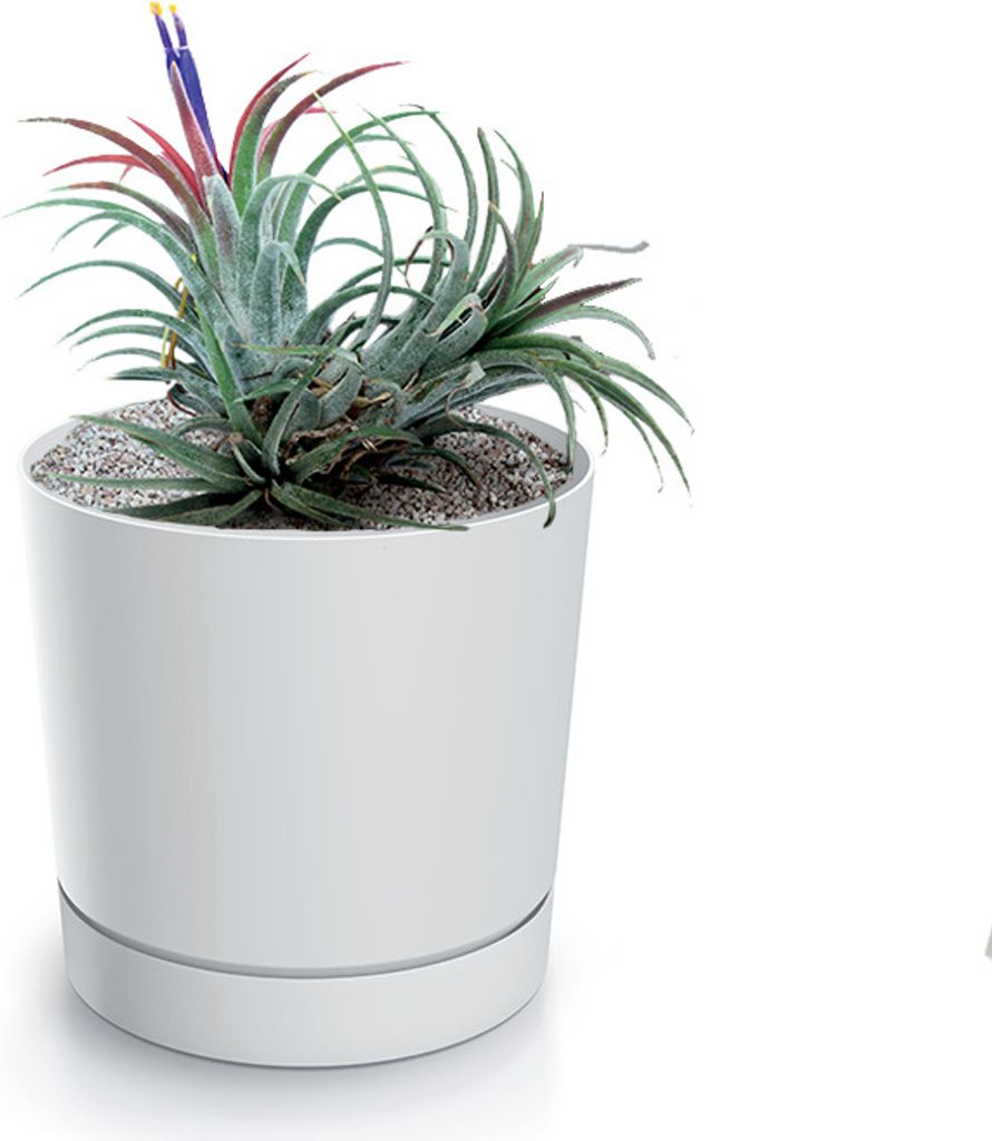 A white planter with a plant inside, set against a white background.