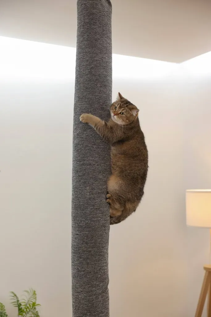 Arbre à chat Kerbl gris 16x16x240 cm - Jouet d'escalade sol-plafond