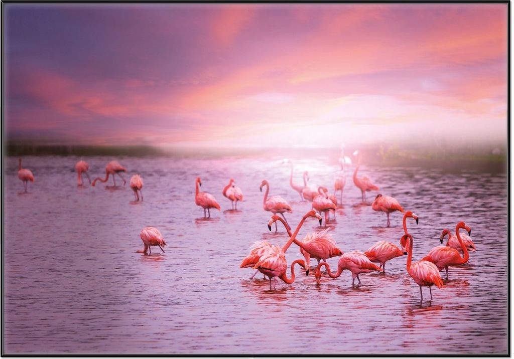 Wallario Wandbild Rosa Flamingos bei Sonnenuntergang, Produktbild 