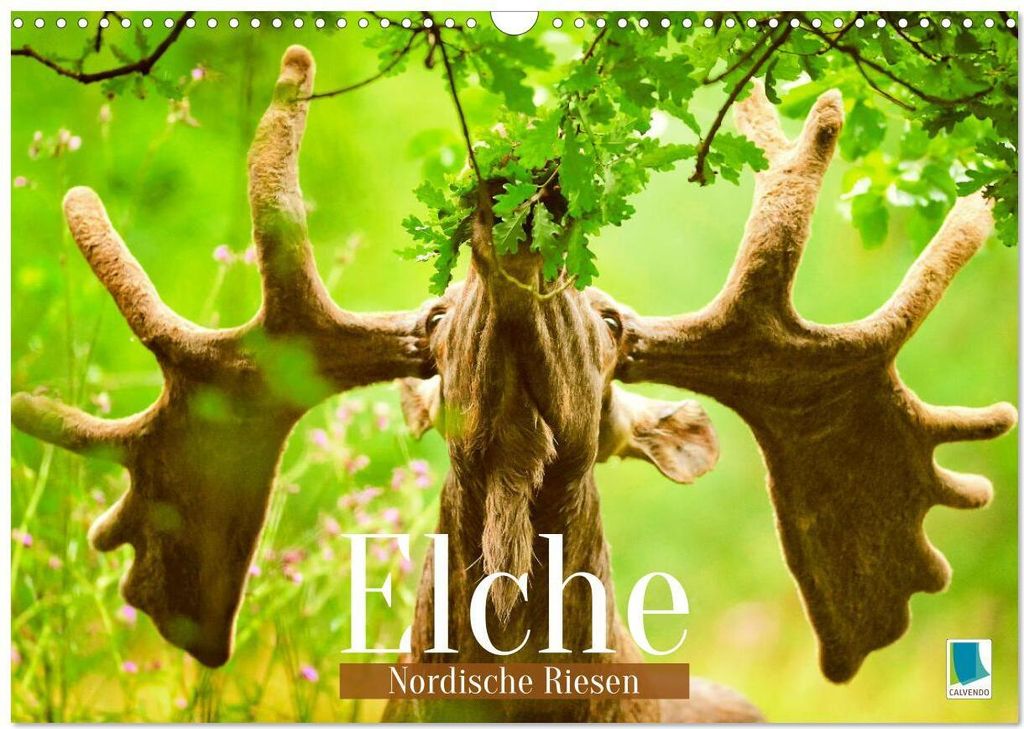 Elche: Nordische Riesen (Wandkalender 2026 DIN A3 quer), CALVENDO Monatskalender