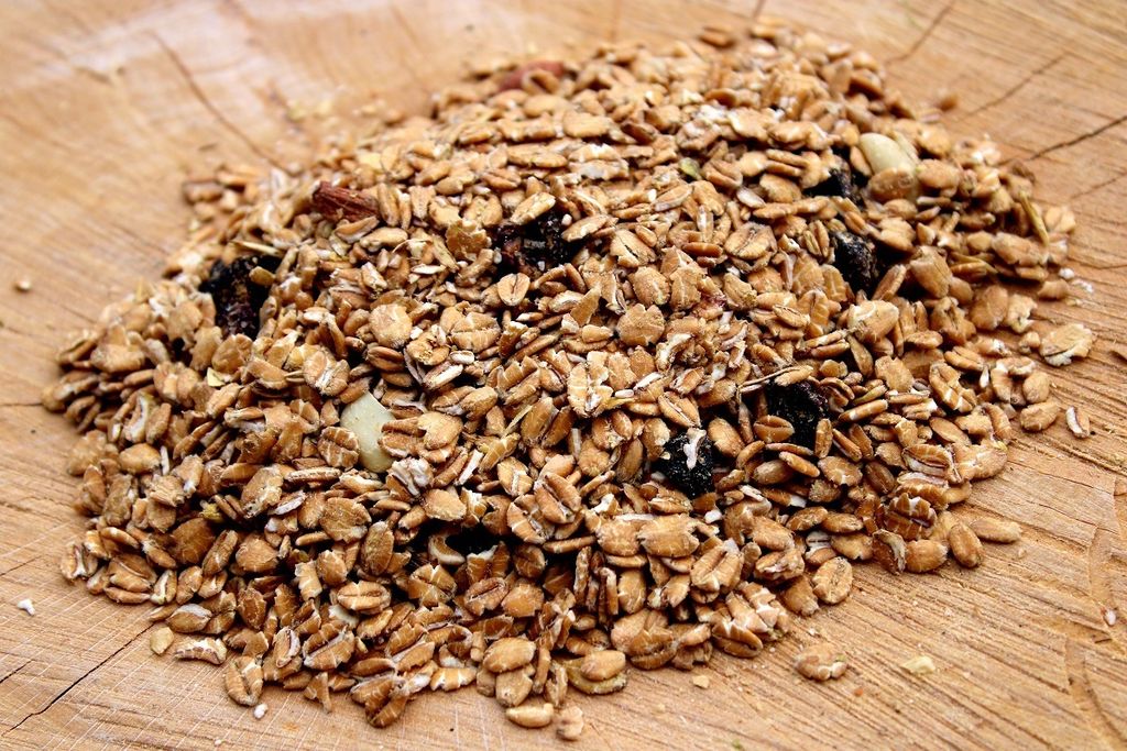 Futterbauer Wildvogel Fettfutter 25kg - Energiefutter Für Weichfresser Im Winter