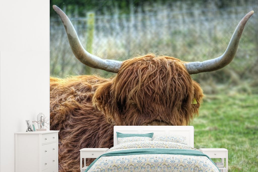 MuchoWow Fototapete für Wohnzimmer oder Schlafzimmer Wandtapete Vinyl Motivtapete Schottischer Highlander - Kuhkopf - Hörner - 265x220 cm - Die...