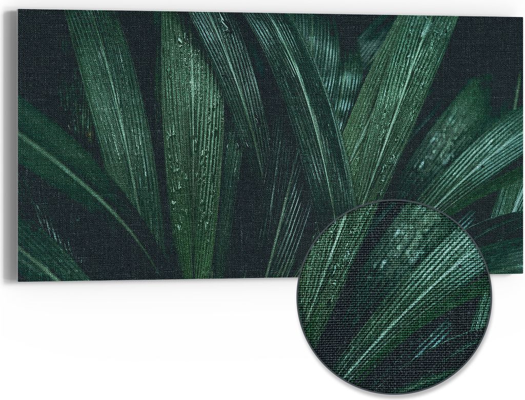 DEQORI Hybrid Leinwand Bild 60x30 cm 'Tropisches Flüstern' Wandbild Glas flach modern