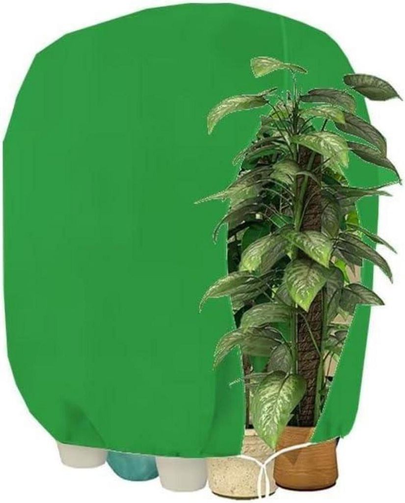 Copertura invernale per piante 120x180cm verde - Immagine del prodotto 