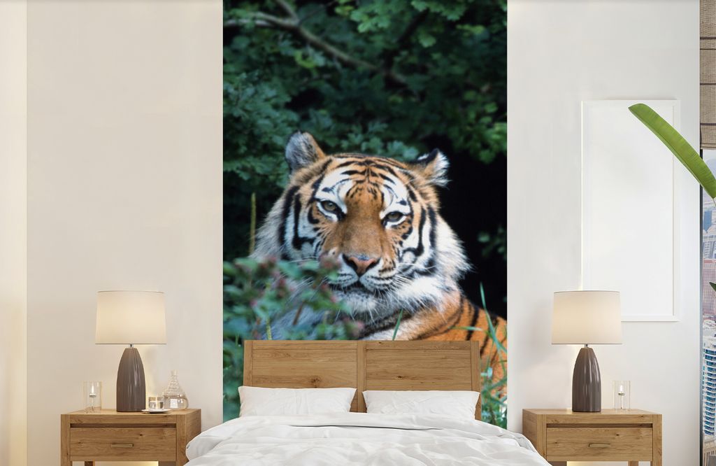 MuchoWow Fototapete für Wohnzimmer oder Schlafzimmer Wandtapete Vinyl Motivtapete Tiger - Gras - Grün - 120x240 cm - Hintergrundbild