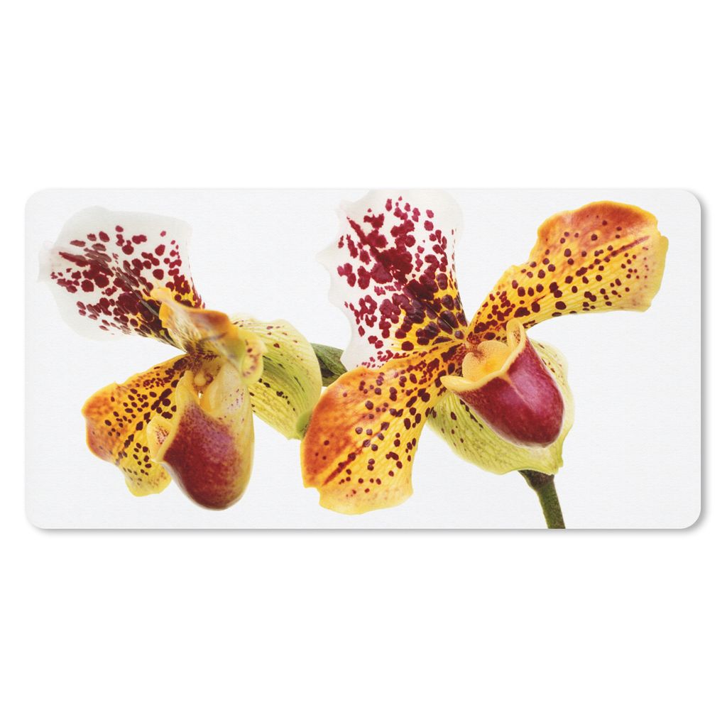 MuchoWow® Mauspad Mousepad Orange Orchidee 60x30 cm - Produktbild 