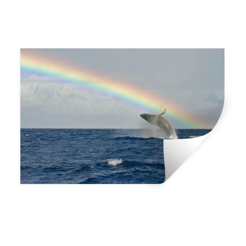 MuchoWow Wandtattoo Wandsticker Wandaufkleber Wal - Regenbogen - Meer 60x40 cm Selbstklebend und Repositionierbar - Wierderverwendbar - Selbstkle...