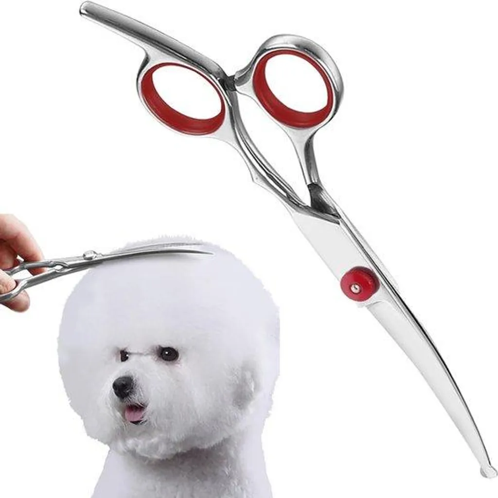 Tondeuse chat et chien sans fil avec tête arrondie et lames de soin