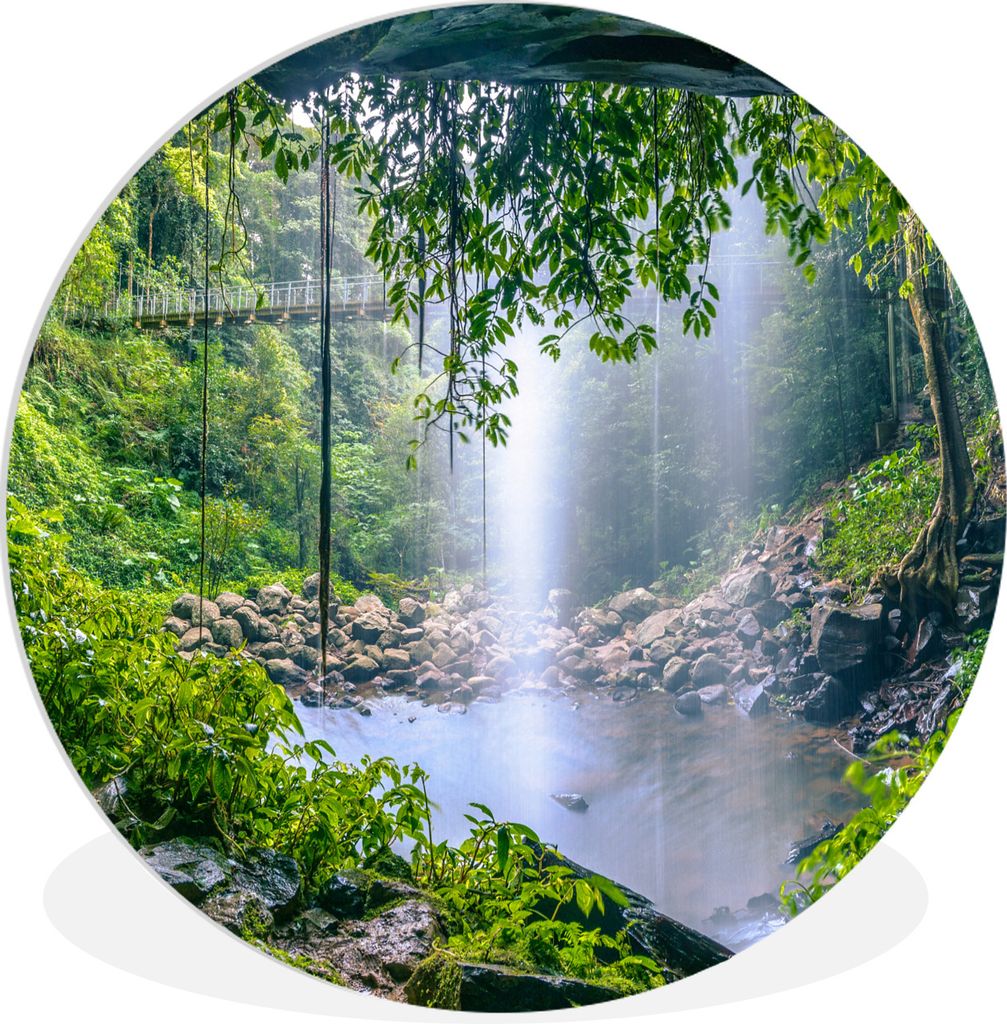 MuchoWow Rundes Wandbild - Runde Bilder Dschungel - Regenwald - Wasser - Wasserfall - Pflanzen Ø 60 cm Kreis Wanddekoration Kunststoff - Wandkre...