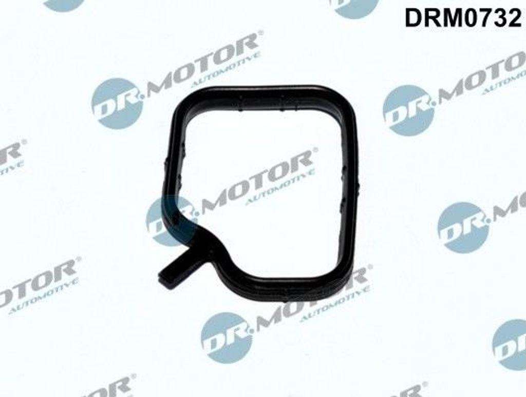 DR.MOTOR AUTOMOTIVE Dichtung Kühlmittelrohr DRM0732 für BMW 3 Touring (E91)