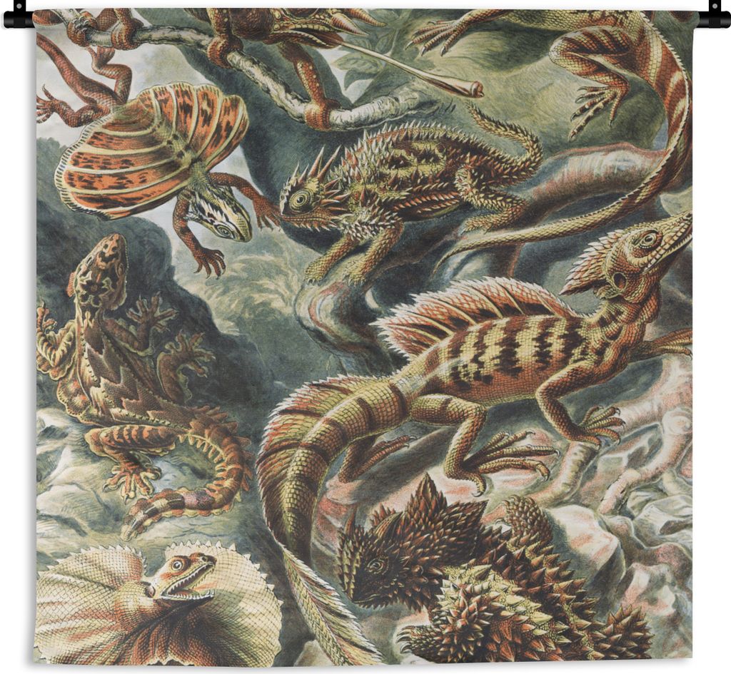 MuchoWow Wandteppich Wandbehang Jahrgang - Kunst - Ernst Haeckel - Salamander - Tiere 150x150 cm Tapisserie Dekoration Wandtuch - Wohnaccessoires...
