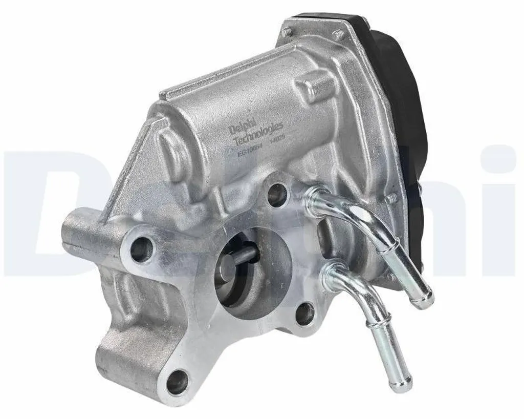 Vanne EGR NISSAN NP300 Navara D40 : Pièce de Rechange DELPHI EG10654